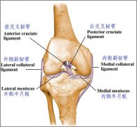 运动康复中心